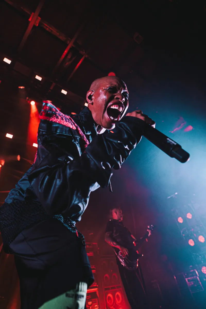 Skunk Anansie