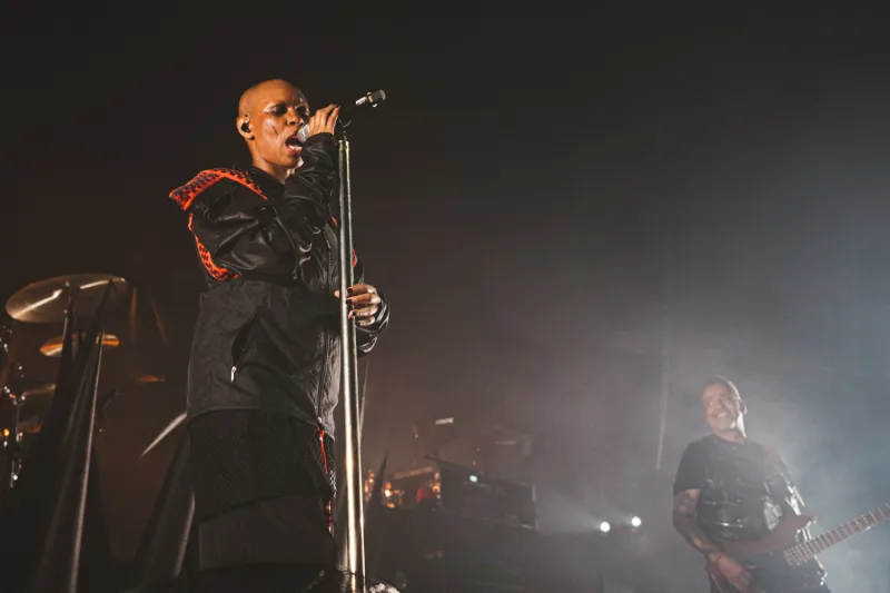 Skunk Anansie
