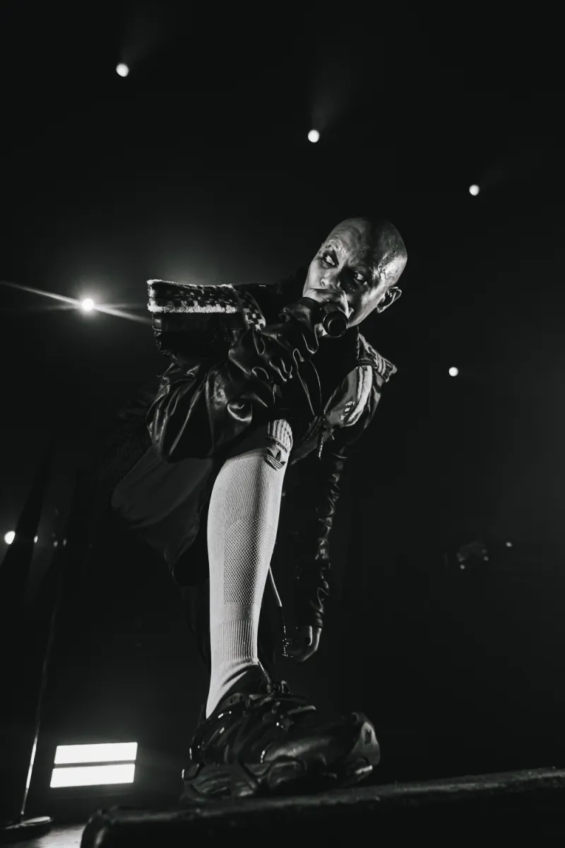 Skunk Anansie